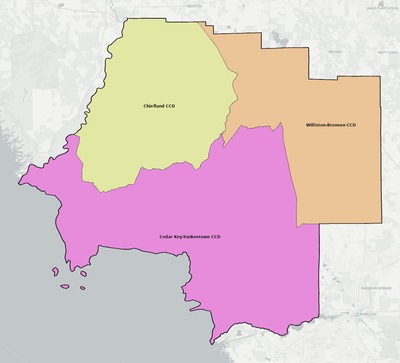 Levy County FL townships and subdivisions map
