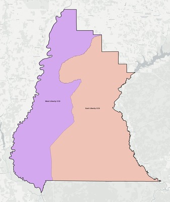 Liberty County FL townships and subdivisions map