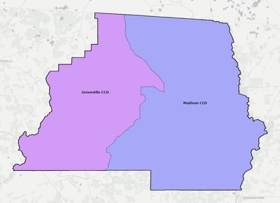 Madison County FL townships and subdivisions map