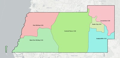 Pasco County FL townships and subdivisions map