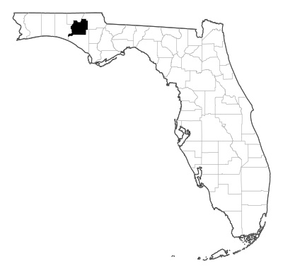 Washington County in Florida