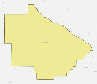 Bacon County GA school district boundaries map