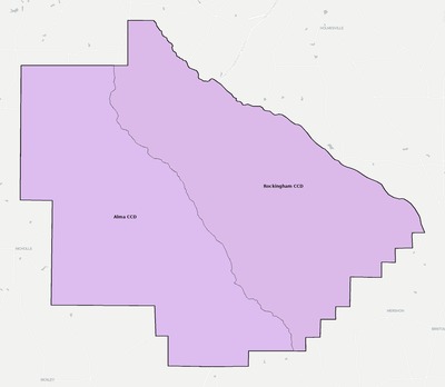 Bacon County GA townships and subdivisions map