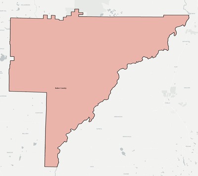 Baker County GA school district boundaries map