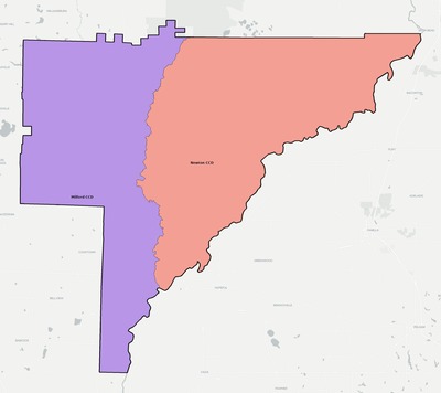 Baker County GA townships and subdivisions map