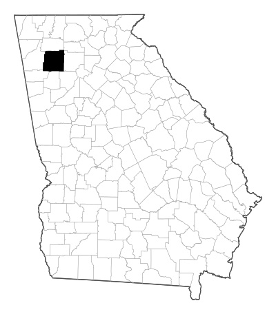 Bartow County in Georgia