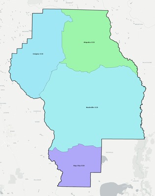Berrien County GA townships and subdivisions map