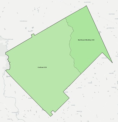Bleckley County GA townships and subdivisions map