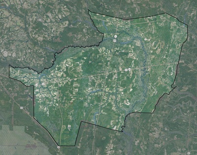 Brantley County GA USGS imagery and topo map