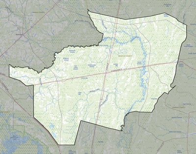 Brantley County GA USGS topo map