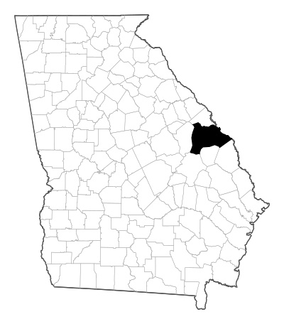 Burke County in Georgia