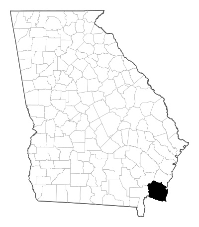 Camden County in Georgia