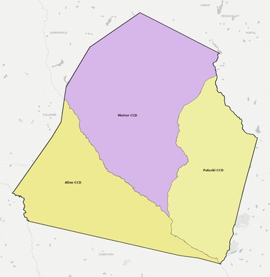 Candler County GA townships and subdivisions map