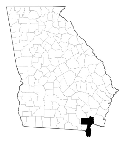 Charlton County in Georgia
