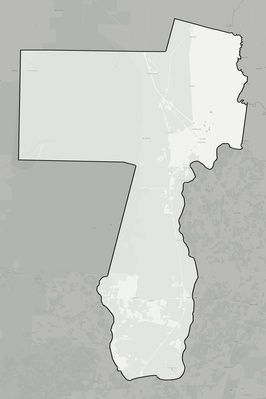 Charlton County GA county basemap context