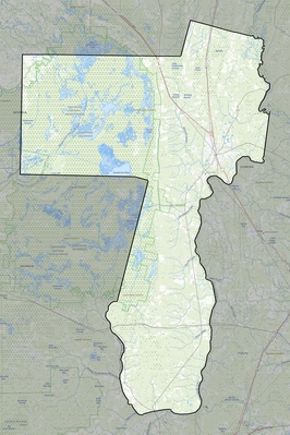 Charlton County GA USGS topo map