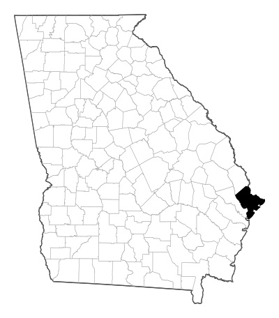 Chatham County in Georgia