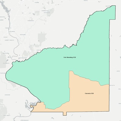 Chattahoochee County GA townships and subdivisions map