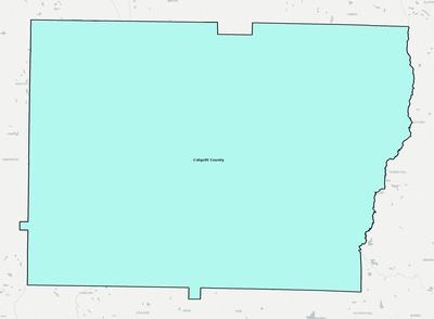 Colquitt County GA school district boundaries map