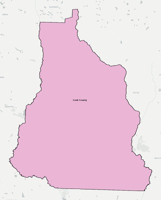 Cook County GA school district boundaries map
