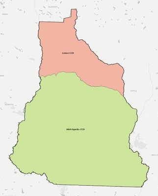 Cook County GA townships and subdivisions map