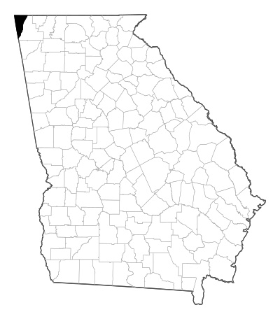 Dade County in Georgia