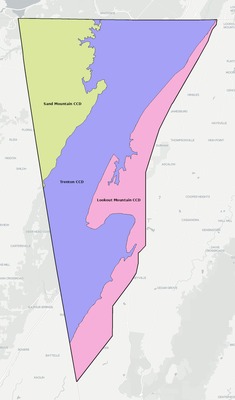 Dade County GA townships and subdivisions map