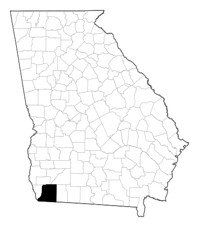 Decatur County in Georgia