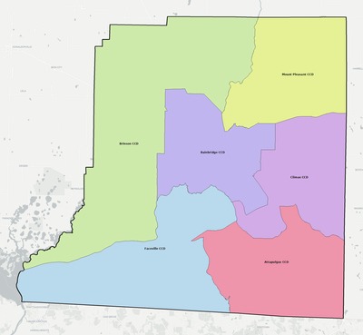 Decatur County GA townships and subdivisions map