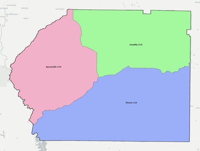 Dooly County GA townships and subdivisions map