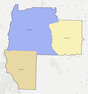 Early County GA townships and subdivisions map