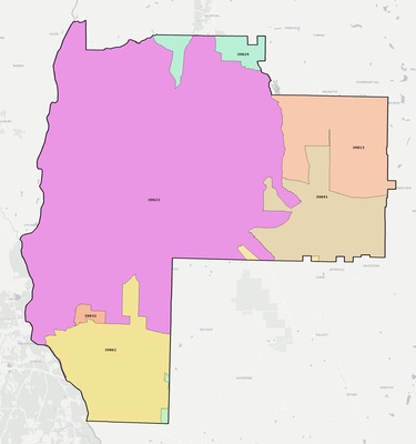 Early County GA ZIP code boundaries map