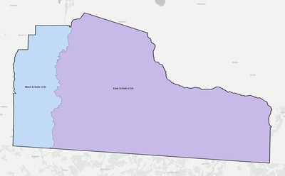 Echols County GA townships and subdivisions map