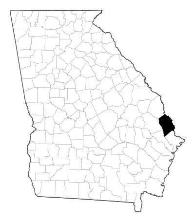 Effingham County in Georgia