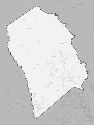 Effingham County GA county basemap context