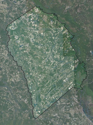 Effingham County GA USGS imagery and topo map