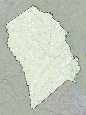 Effingham County GA USGS topo map