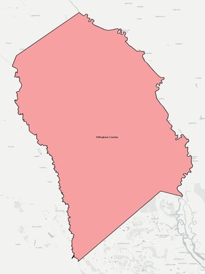 Effingham County GA school district boundaries map