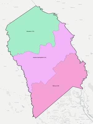 Effingham County GA townships and subdivisions map