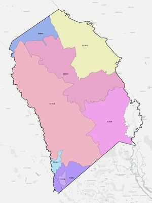 Effingham County GA ZIP code boundaries map