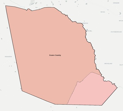 Evans County GA school district boundaries map