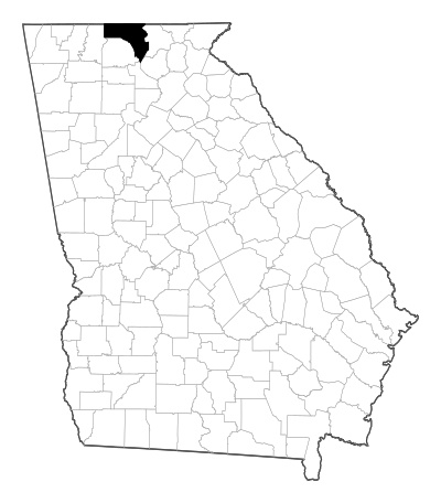 Fannin County in Georgia