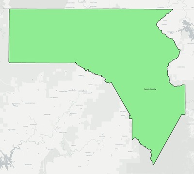 Fannin County GA school district boundaries map