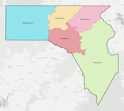 Fannin County GA townships and subdivisions map