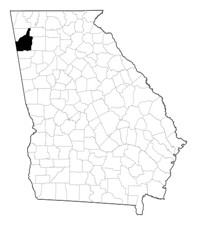 Floyd County in Georgia
