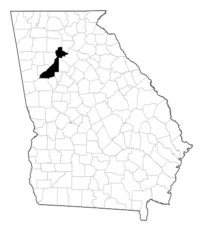 Fulton County in Georgia