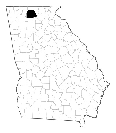 Gilmer County in Georgia