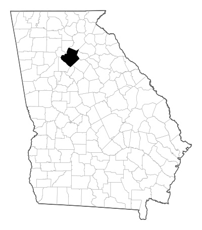Gwinnett County in Georgia