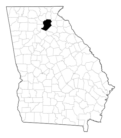 Hall County in Georgia