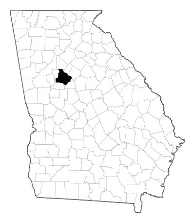 Henry County in Georgia